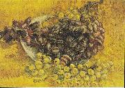 Vincent Van Gogh Still Life with Grapes USA oil painting artist